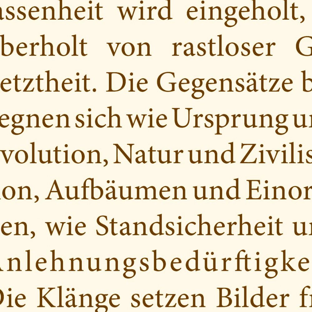Annemarie Donaubauer - Musikalische Traumwandler